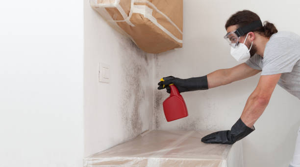 Professional Mold Remediation technician working in Hopewell, VA