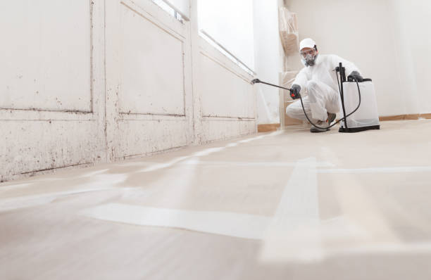 24/7 Emergency Mold Remediation experts in Hopewell, VA